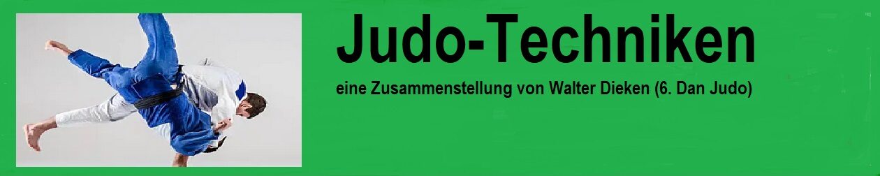 Judo-Techniken